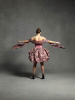Swan Lady Dress