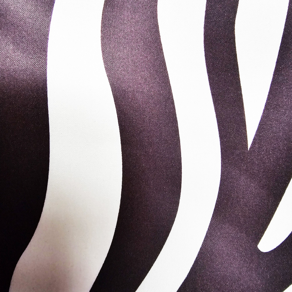 zebra zebra